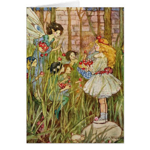 Cru - la petite fille rencontre des fées,