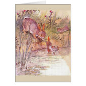 Cru - lapin occupé de mère, (Devant)