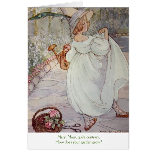 Cru - Mary, Mary tout à fait contrairement, (Devant)