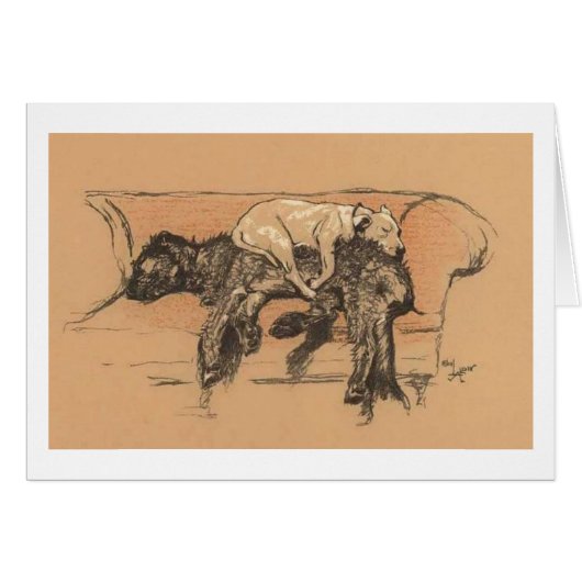 Cru - temps de petit somme pour deux chiens, (Devant horizontal)