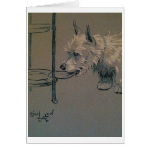 Cru - Westie partant furtivement un casse-croûte,