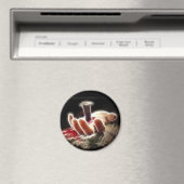 Crucifixatie Magneet (Insitu (Vaatwasser))