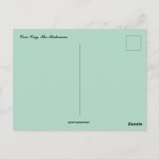 Cruiseschip bij Coco Cay op de Bahama's Briefkaart (Achterkant)