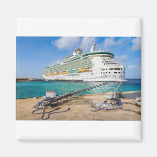 Cruiseschip verankerd aan de kust van het eiland B Magneet