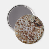 Crumpet Magnet Magneet (Voorkant / Achterkant)