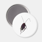 Crunchy Cockroach Magneet (Voorkant / Achterkant)