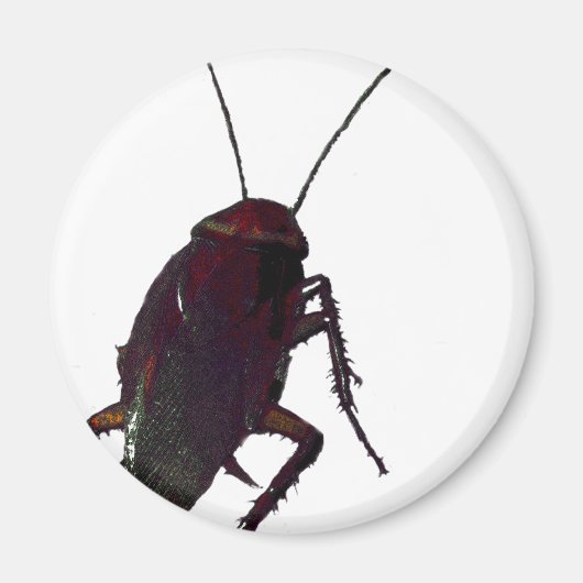 Crunchy Cockroach Magneet (Voorkant)