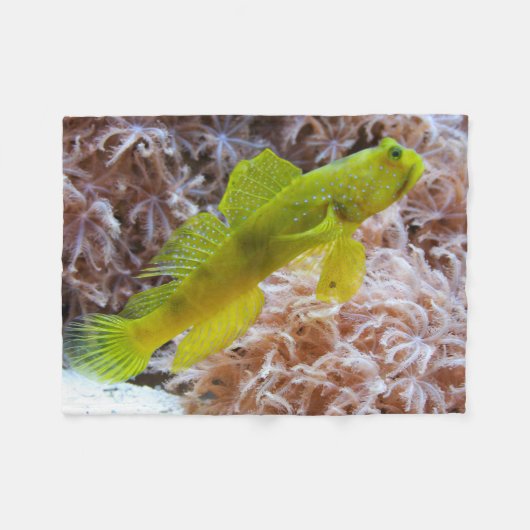 Cryptocentrus cinctus fleece deken (Voorkant (Horizontaal))