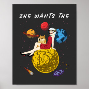Cryptocurrency wil de Dokoetskoetter in Doge Crypt Poster