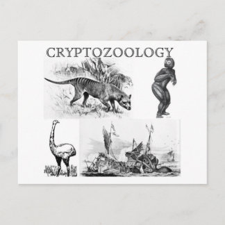 cryptozoölogy postcard briefkaart