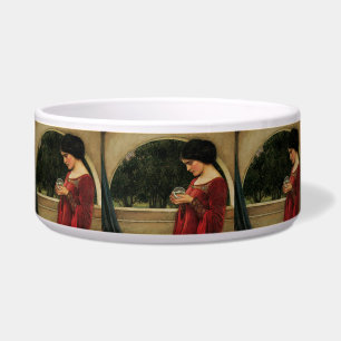 Crystal Ball Woman Waterhouse Painting Voerbakje