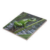 Crystal Clarity: Green Glass Frog op River Reeds Tegeltje (Zijkant)