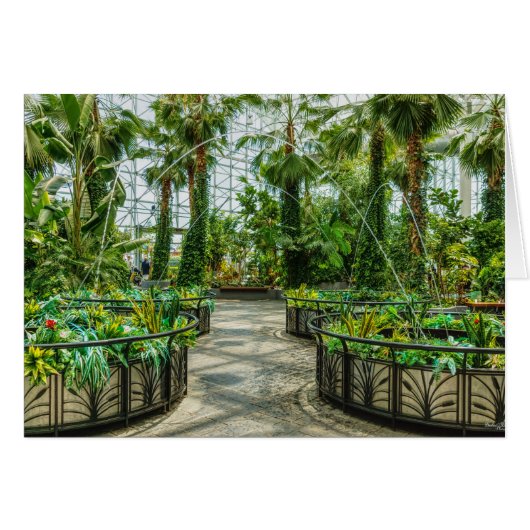 Crystal Gardens (Devant Horizontal)