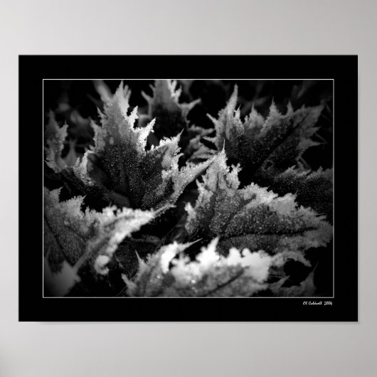 Crystal Morning Poster (Voorkant)