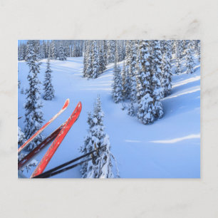 Crystal Mountain Ski Resort bij Mt. Rainier 2 Briefkaart