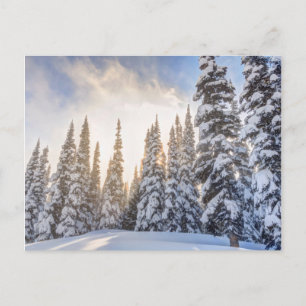 Crystal Mountain Ski Resort, nabij Mt. Rainier 1 Briefkaart