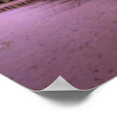 Crystal Pier Sunset Poster (Hoek)