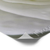 Crystal Rain Poster (Hoek)