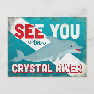 Crystal River Dolphin - Retro Vintage Travel Briefkaart