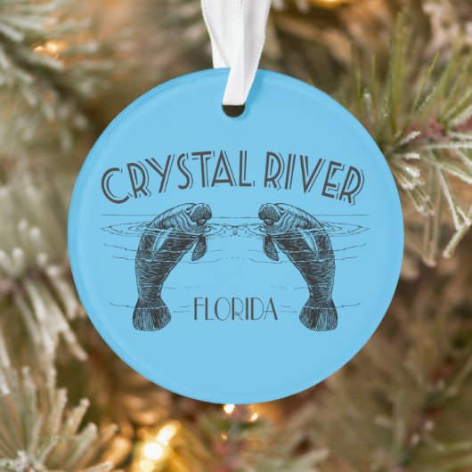 Crystal River Florida met Manatees Ornament (Boom)