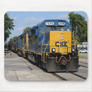CSX 2696 leidt Westbound CSX C729 Muismat