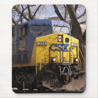 CSX-trein Muismat