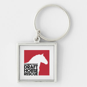 CT Concept Horse Rescue-knop sleutelhanger