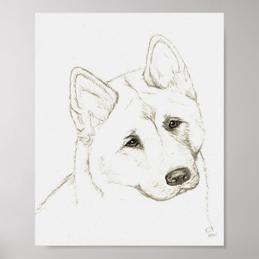 CT POSTER (Voorkant)