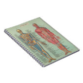 Cuaderno - Anatomía Notitieboek (Rechterzijde)