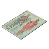 Cuaderno - Anatomía Notitieboek (Linkerzijde)