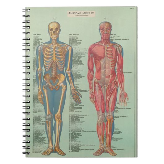 Cuaderno - Anatomía Notitieboek (Voorkant)