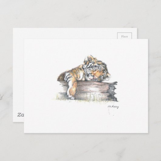 Cub slaapt briefkaart (Voorkant / Achterkant)