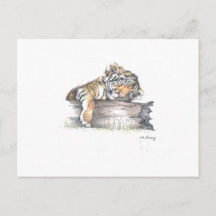Cub slaapt briefkaart