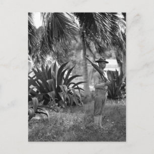 Cuba, Guantanamo Sentry onder palms_War Afbeelding Briefkaart