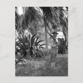 Cuba, Guantanamo Sentry onder palms_War Afbeelding Briefkaart