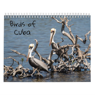 Cuba-kalender Kalender