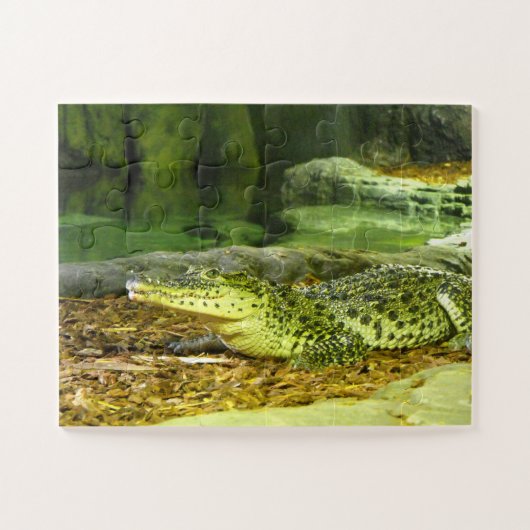 Cubaans krokodillendier legpuzzel (Horizontaal)