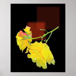 Cubaans Roos Poster