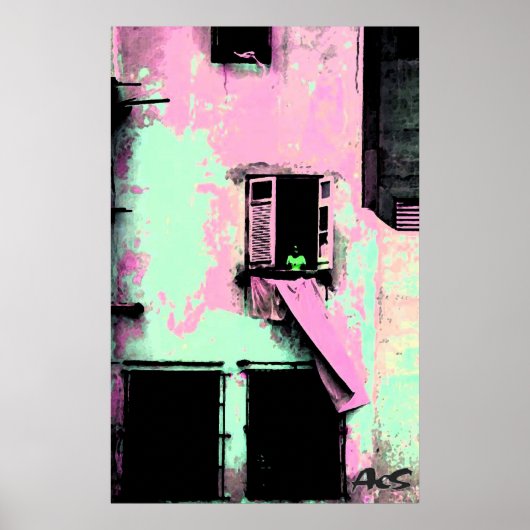 cubaanse was poster (Voorkant)