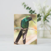 Cuban Emerald Hummingbird Briefkaart (Staand voorkant)