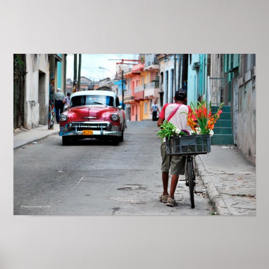 Cuban Florist Poster (Voorkant)