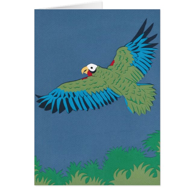 Cuban Parrot (Voorkant)