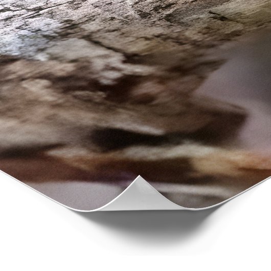 Cuban tody  poster (Hoek)