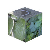 Cube de photo de nature (Angle arrière)