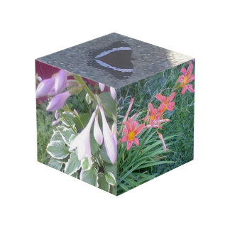 Cube de photo de nature