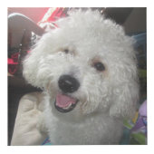 Cube en photo (4 pouces) (Devant)