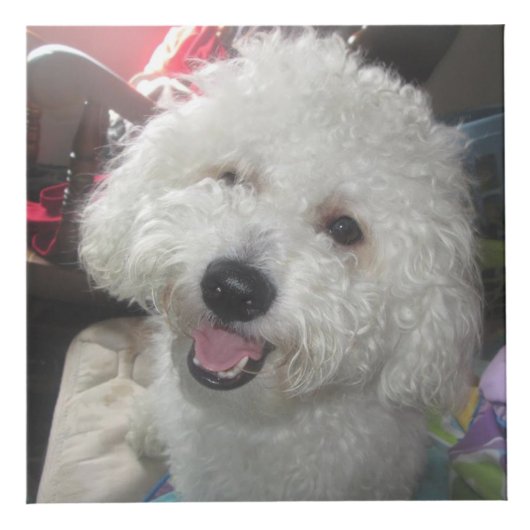 Cube en photo (4 pouces) (Devant)