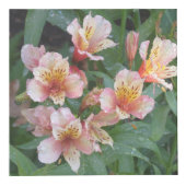 Cube en photo de fleur (Droite)