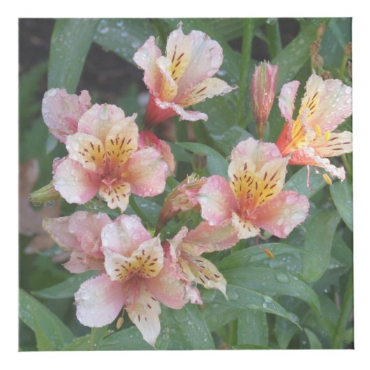 Cube en photo de fleur (Droite)