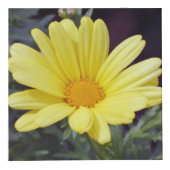 Cube en photo de fleur (Devant)